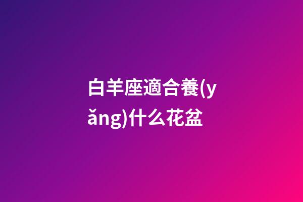 白羊座適合養(yǎng)什么花盆-第1張-星座運(yùn)勢(shì)-玄機(jī)派