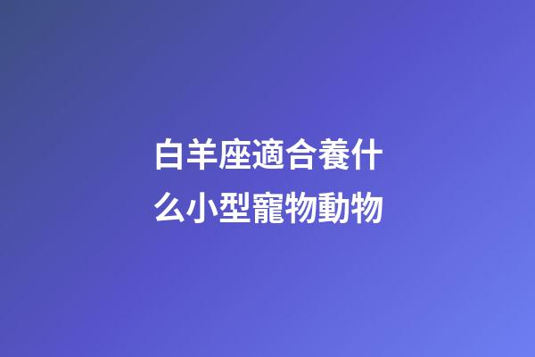 白羊座適合養什么小型寵物動物-第1張-星座運勢-玄機派