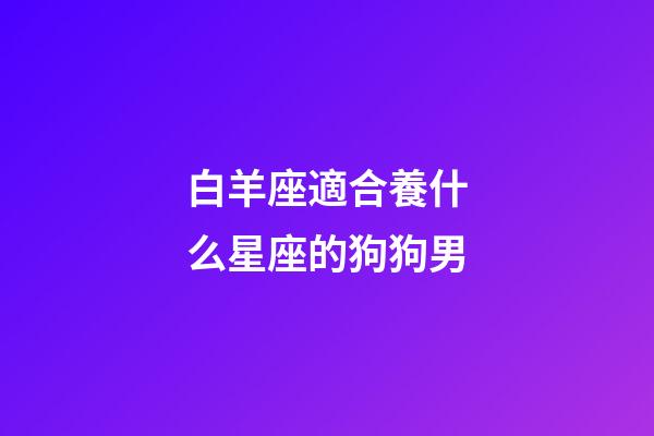 白羊座適合養什么星座的狗狗男-第1張-星座運勢-玄機派