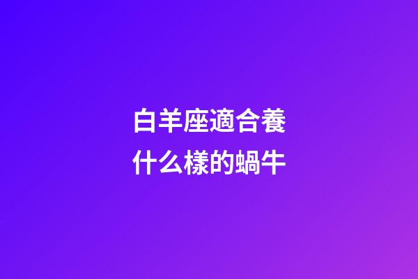 白羊座適合養什么樣的蝸牛-第1張-星座運勢-玄機派