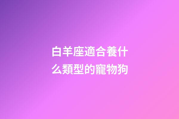 白羊座適合養什么類型的寵物狗-第1張-星座運勢-玄機派