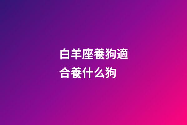 白羊座養狗適合養什么狗-第1張-星座運勢-玄機派