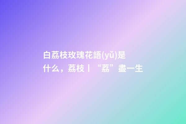 白荔枝玫瑰花語(yǔ)是什么，荔枝丨“荔”盡一生-第1張-觀點(diǎn)-玄機(jī)派