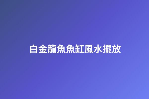 白金龍魚魚缸風水擺放