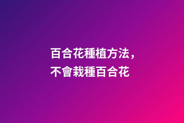 百合花種植方法，不會栽種百合花-第1張-觀點-玄機派