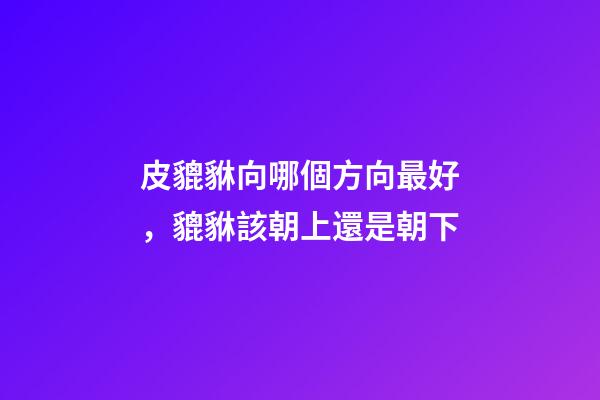 皮貔貅向哪個方向最好，貔貅該朝上還是朝下-第1張-觀點-玄機(jī)派