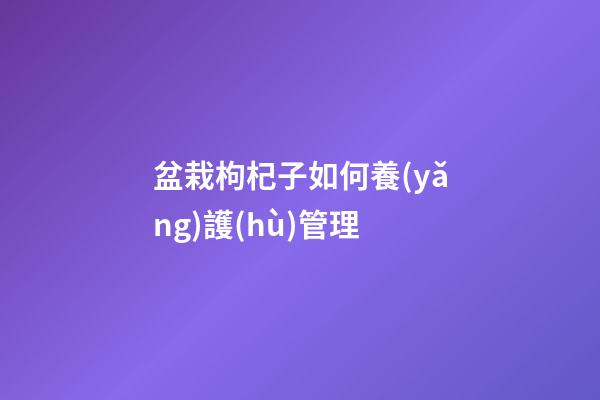 盆栽枸杞子如何養(yǎng)護(hù)管理