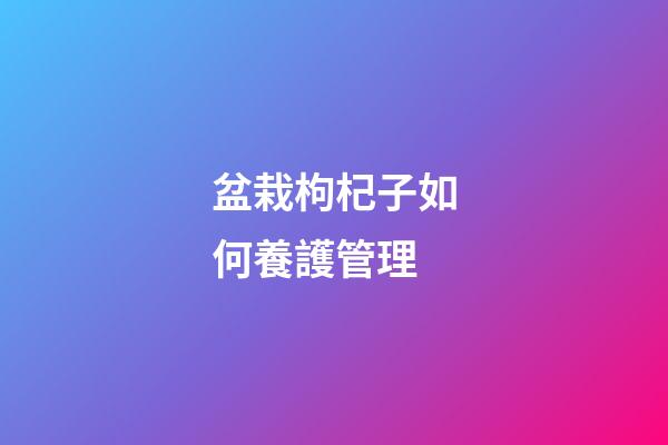 盆栽枸杞子如何養護管理