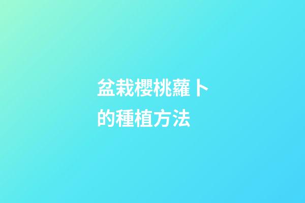 盆栽櫻桃蘿卜的種植方法