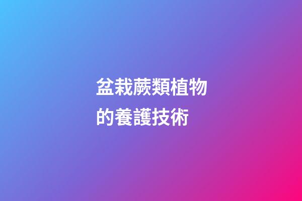 盆栽蕨類植物的養護技術
