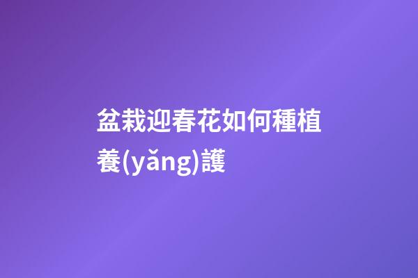盆栽迎春花如何種植養(yǎng)護