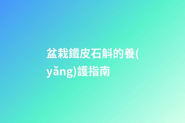 盆栽鐵皮石斛的養(yǎng)護指南