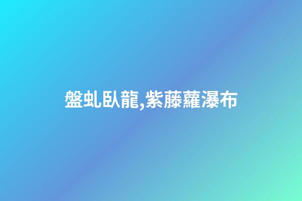 盤虬臥龍,紫藤蘿瀑布-第1張-觀點(diǎn)-玄機(jī)派