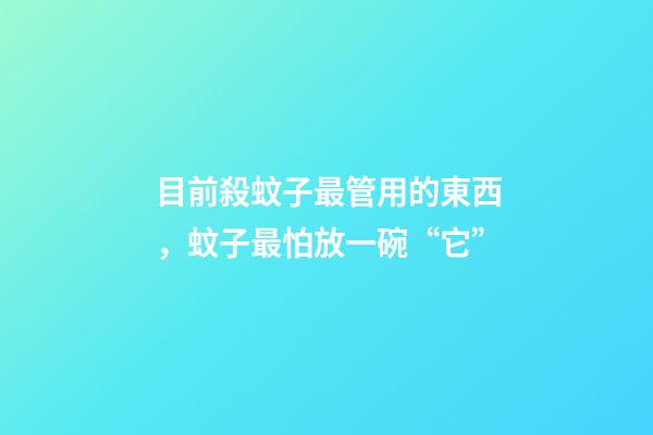 目前殺蚊子最管用的東西，蚊子最怕放一碗“它”-第1張-觀點-玄機派