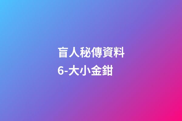 盲人秘傳資料6-大小金鉗