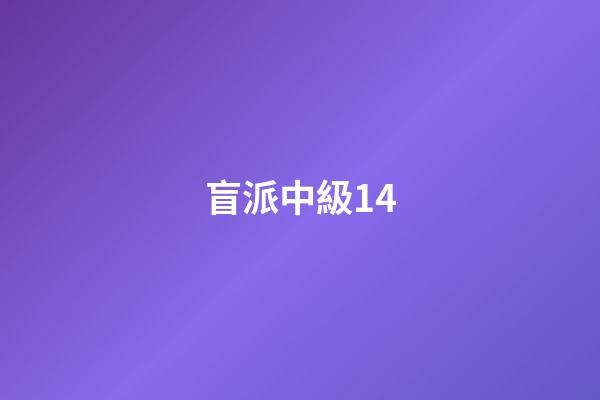 盲派中級14