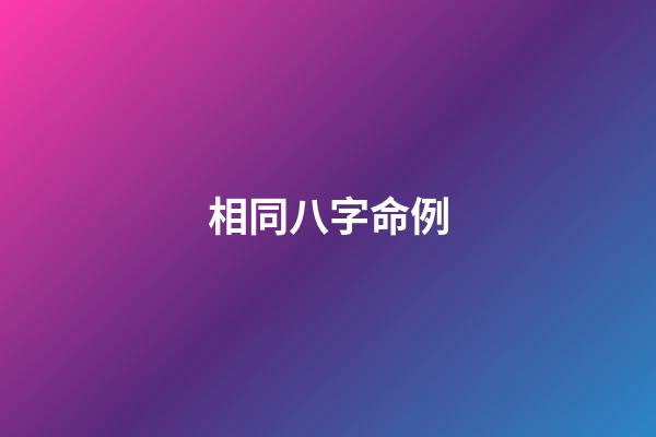 相同八字命例