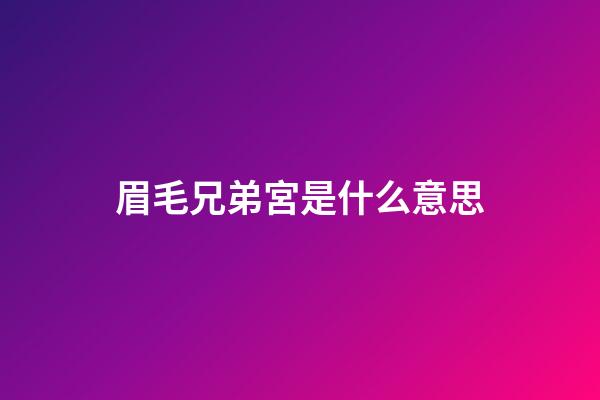 眉毛兄弟宮是什么意思