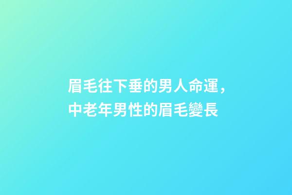 眉毛往下垂的男人命運，中老年男性的眉毛變長-第1張-觀點-玄機派