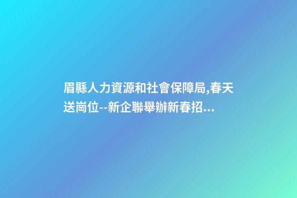 眉縣人力資源和社會保障局,春天送崗位--新企聯舉辦新春招聘會-第1張-觀點-玄機派