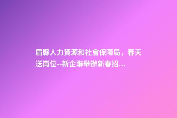 眉縣人力資源和社會保障局，春天送崗位--新企聯舉辦新春招聘會-第1張-觀點-玄機派