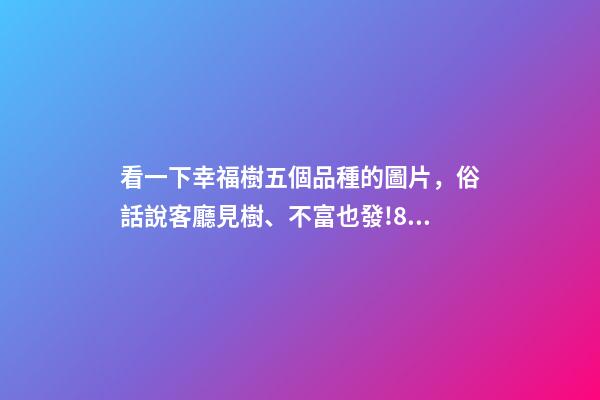 看一下幸福樹五個品種的圖片，俗話說客廳見樹、不富也發!8種吉祥樹