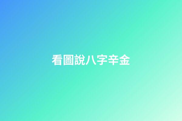 看圖說八字辛金