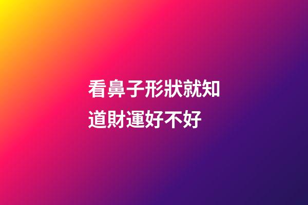 看鼻子形狀就知道財運好不好