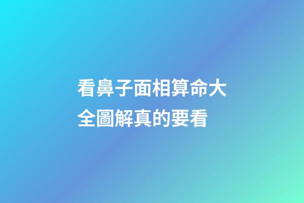 看鼻子面相算命大全圖解真的要看