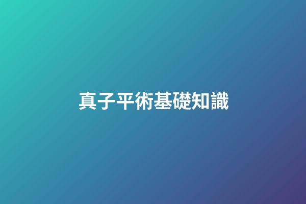 真子平術基礎知識