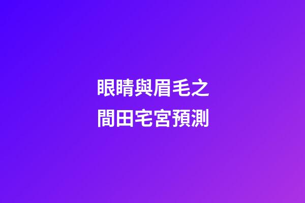 眼睛與眉毛之間田宅宮預測