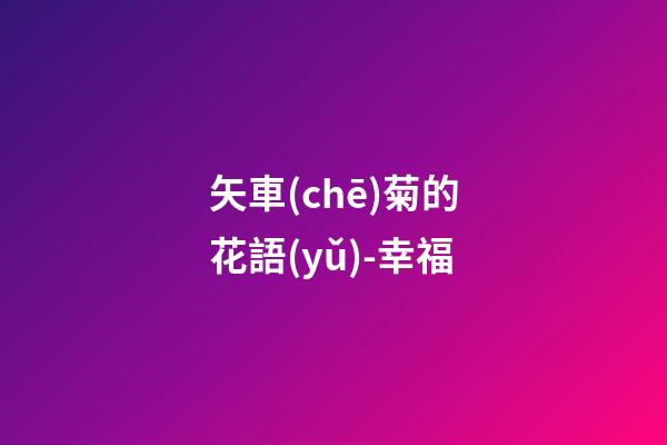 矢車(chē)菊的花語(yǔ)-幸福