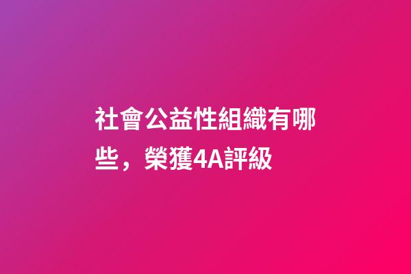 社會公益性組織有哪些，榮獲4A評級-第1張-觀點-玄機派