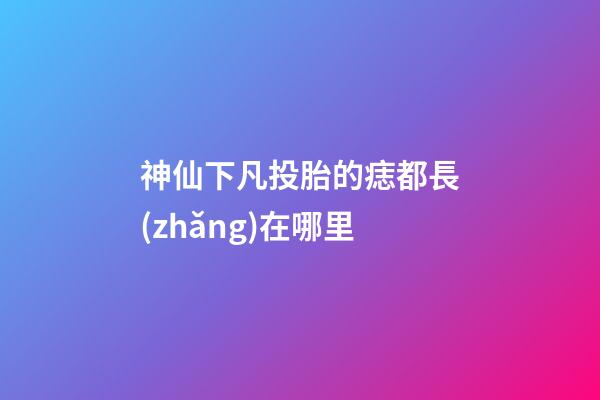神仙下凡投胎的痣都長(zhǎng)在哪里