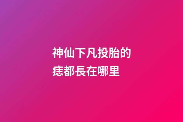 神仙下凡投胎的痣都長在哪里