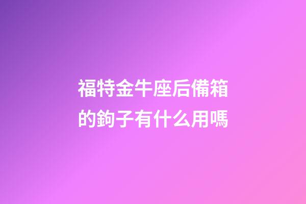 福特金牛座后備箱的鉤子有什么用嗎-第1張-星座運勢-玄機派