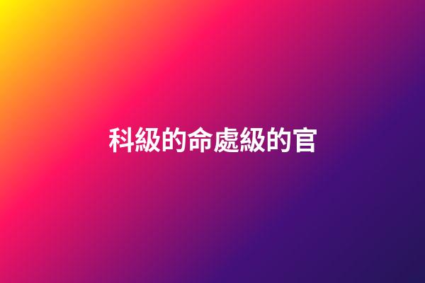 科級的命處級的官