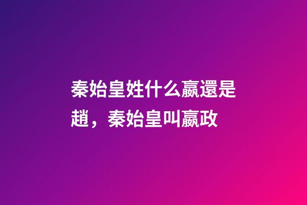 秦始皇姓什么嬴還是趙，秦始皇叫嬴政-第1張-觀點-玄機派