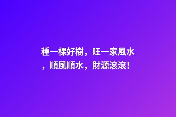 種一棵好樹，旺一家風水，順風順水，財源滾滾！
