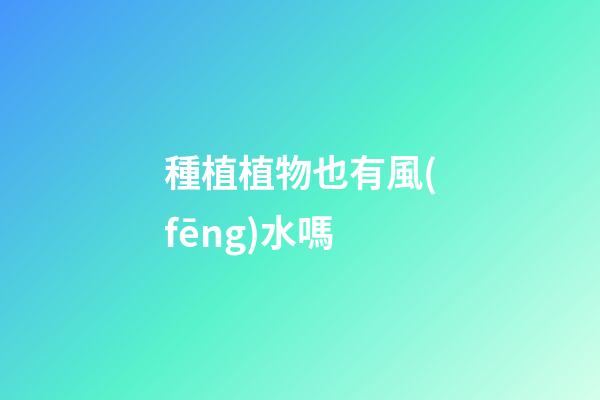 種植植物也有風(fēng)水嗎