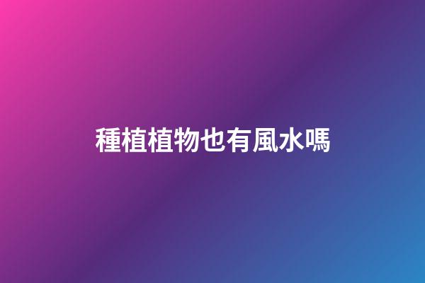 種植植物也有風水嗎