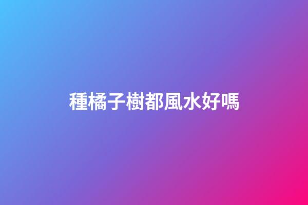 種橘子樹都風水好嗎