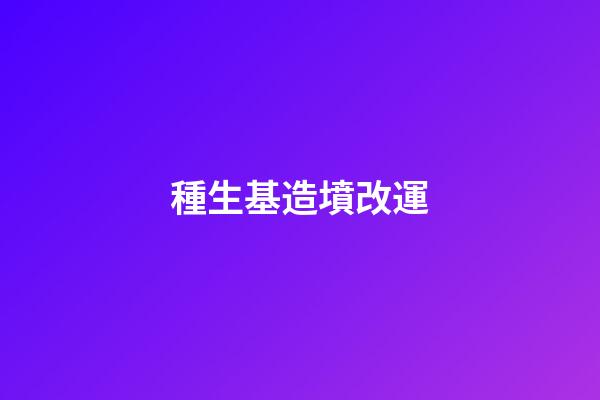 種生基造墳改運