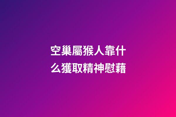 空巢屬猴人靠什么獲取精神慰藉