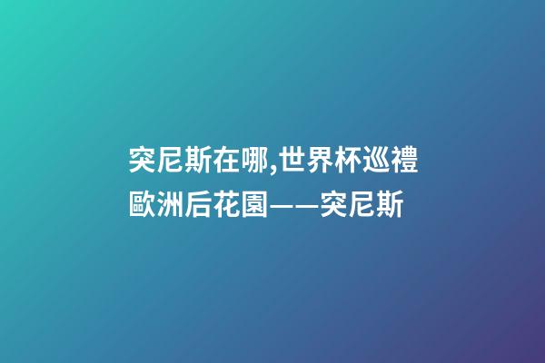 突尼斯在哪,世界杯巡禮歐洲后花園——突尼斯-第1張-觀點-玄機派