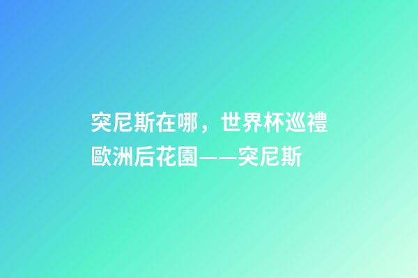 突尼斯在哪，世界杯巡禮歐洲后花園——突尼斯-第1張-觀點-玄機派