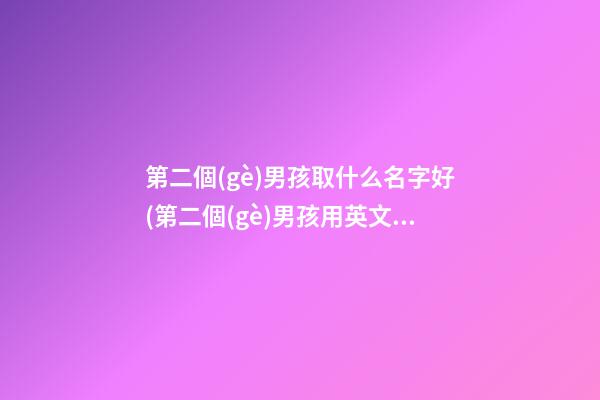 第二個(gè)男孩取什么名字好(第二個(gè)男孩用英文怎么說(shuō))