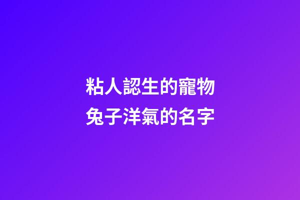 粘人認生的寵物兔子洋氣的名字