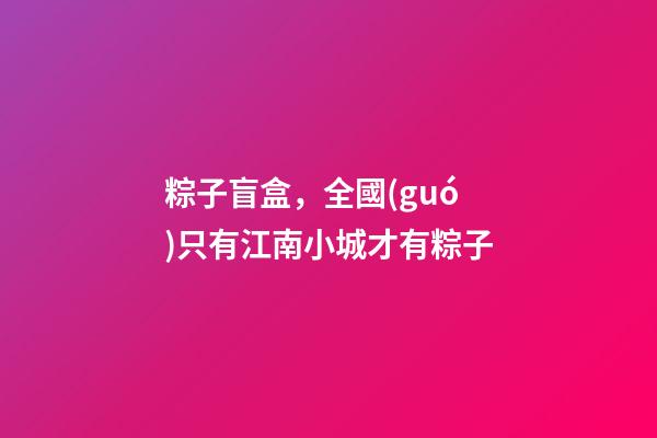 粽子盲盒，全國(guó)只有江南小城才有粽子-第1張-觀點(diǎn)-玄機(jī)派