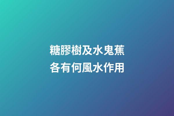 糖膠樹及水鬼蕉各有何風水作用?